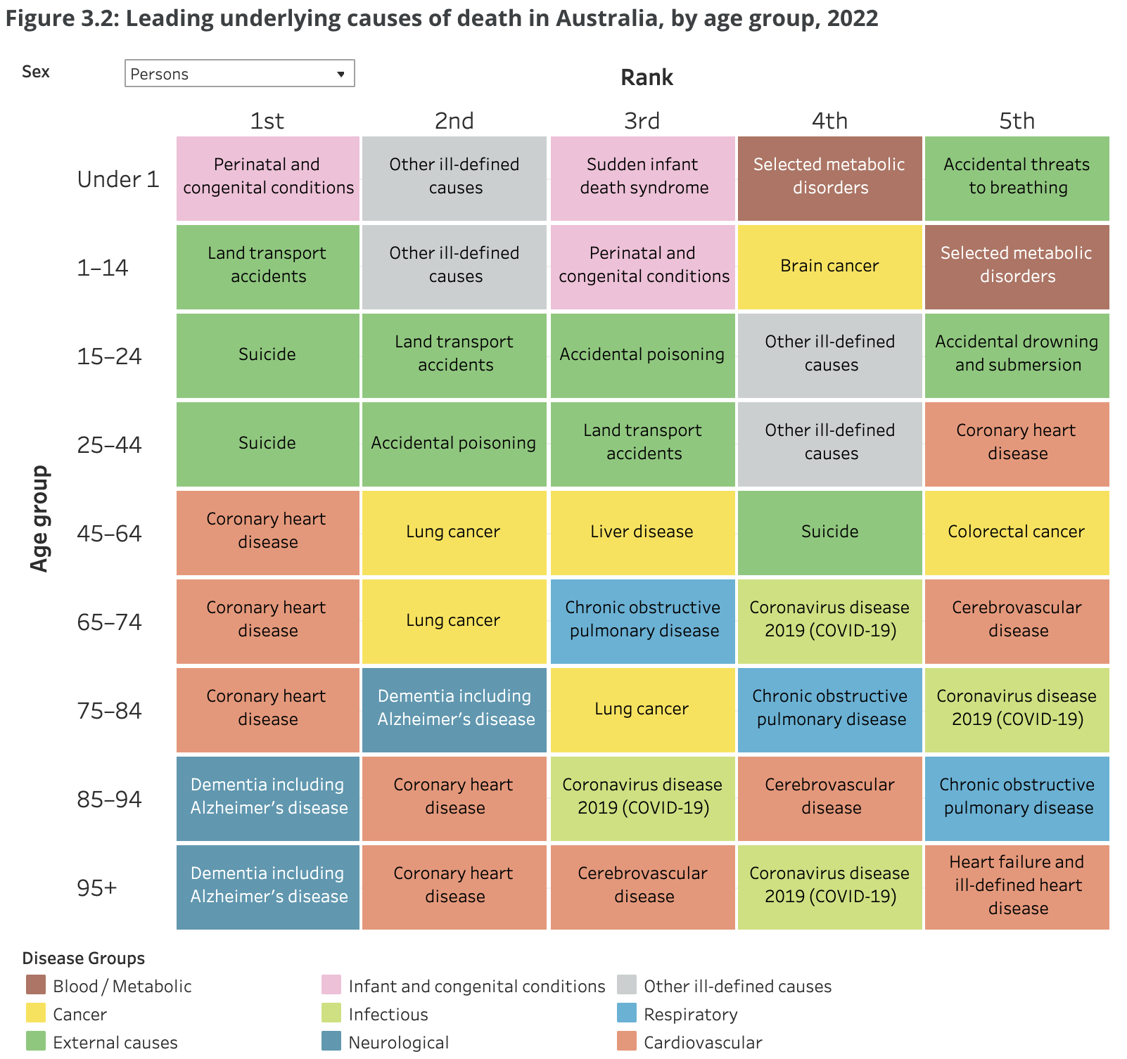 Matrix of leading causes of death by age in Australia